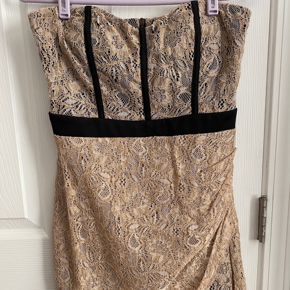 Extra Cute Body Fitting Lace Dress
